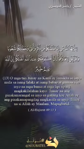 سورة الحجرات : 13