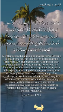 سورة النساء : 24