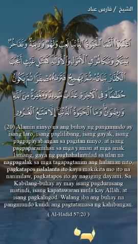 سورة الحديد : 20