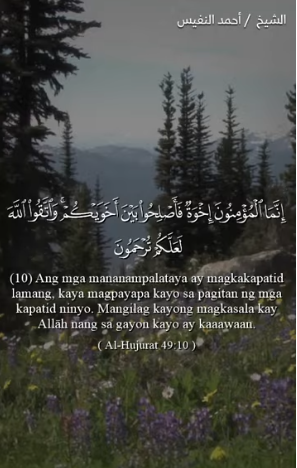 سورة الحجرات : 10