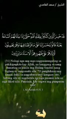 سورة الأنعام : 31 – 32