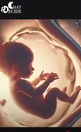 عقل بلا خالق، جرّب أن تصنع تفاحة!