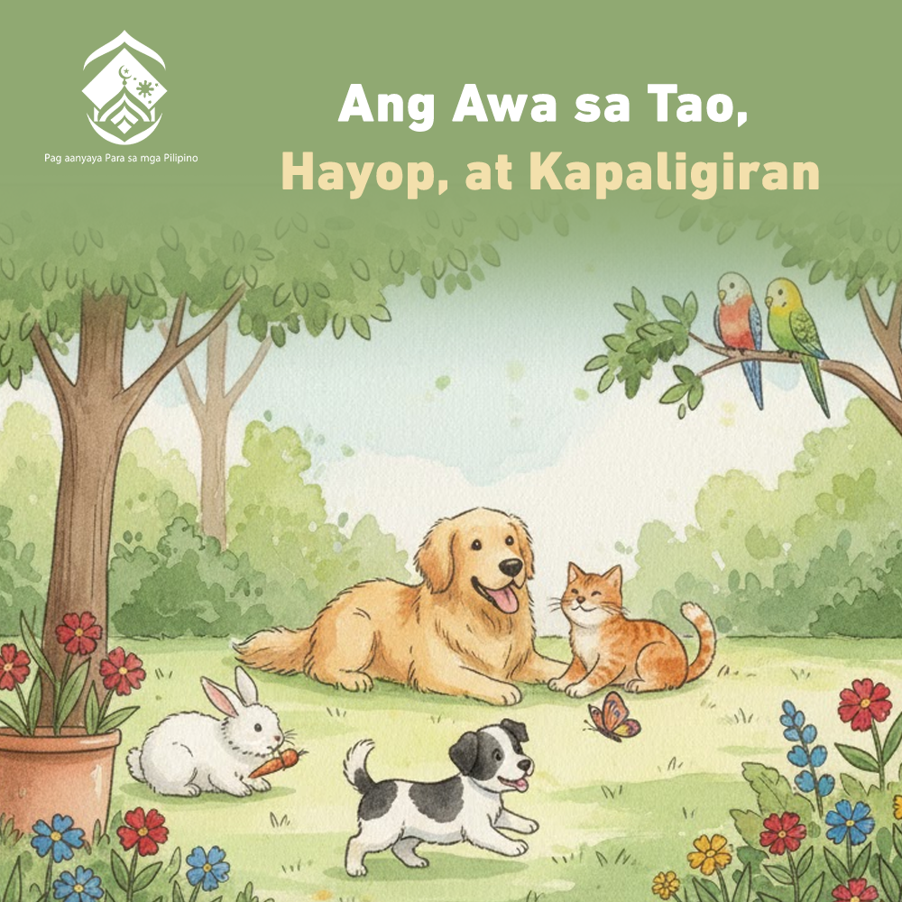 الرحمة بالإنسان، والحيوان، والبيئة