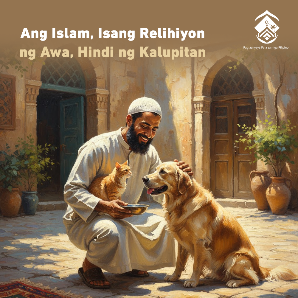 الإسلام، دين الرحمة، لا دين القسوة