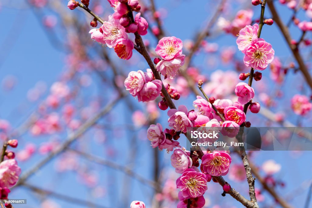 7 طرق لمشاركة فرحة العيد مع المسلمين الجدد